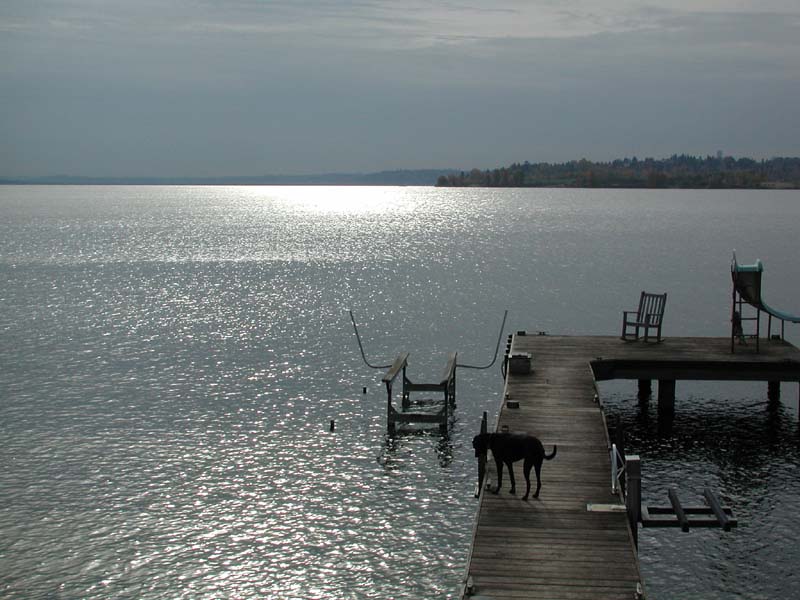 Kirby on dock 2.jpg 80.0K